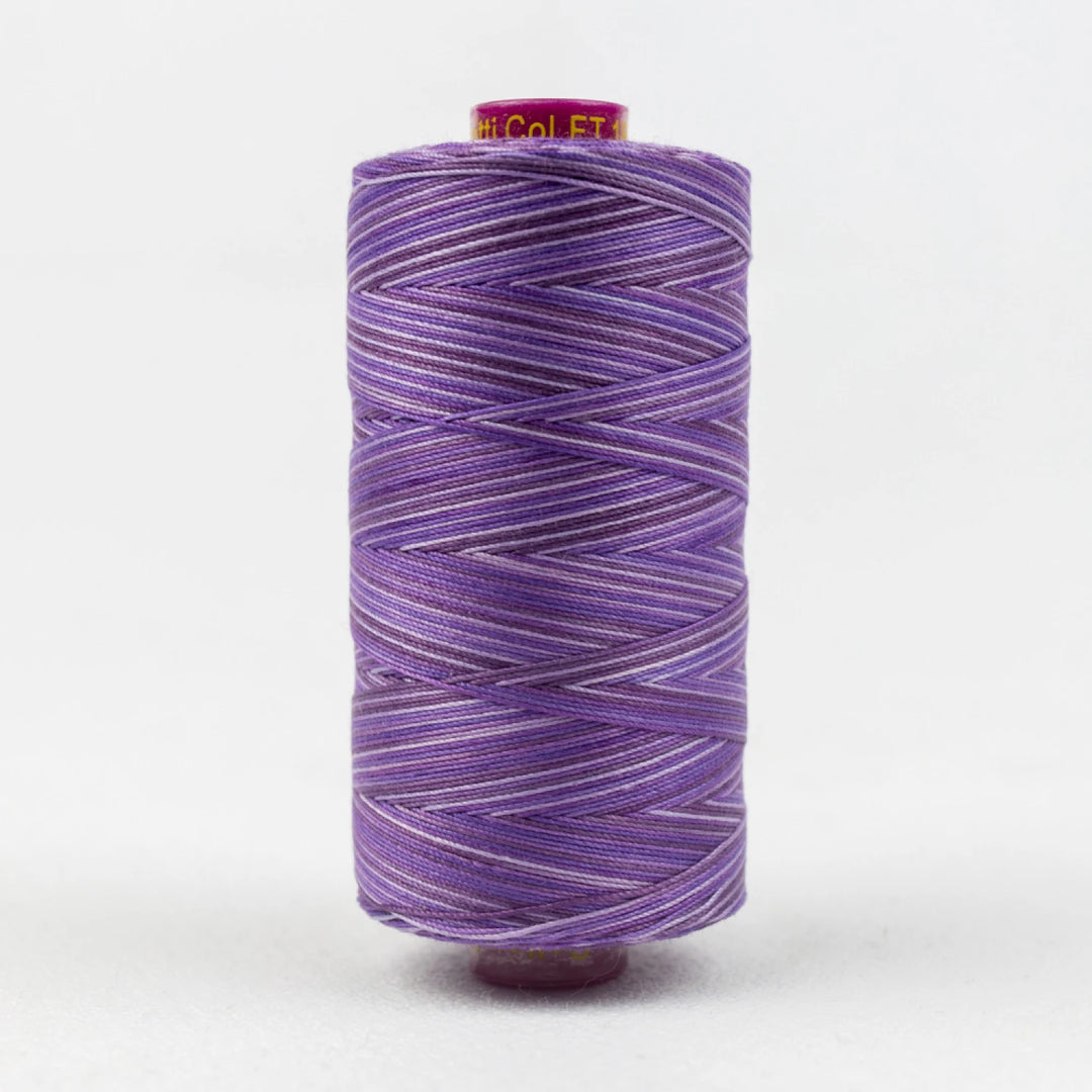 Fruitti Variegated 12wt Cotton Thread 400m Blueberry