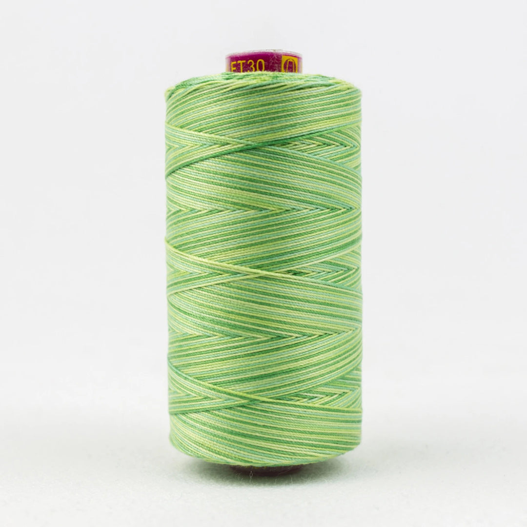 Fruitti Variegated 12wt Cotton Thread 400m Leaves