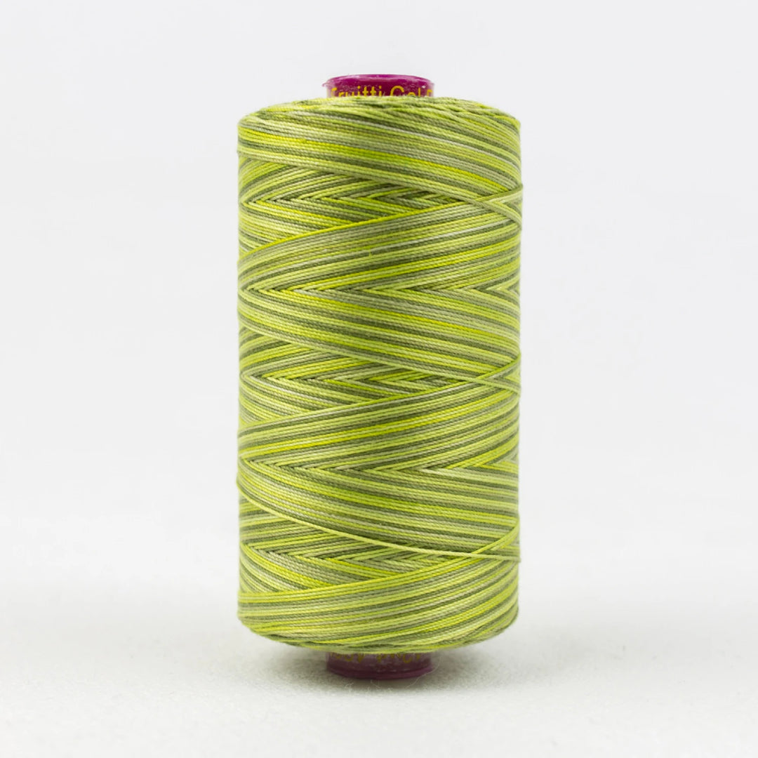 Fruitti Variegated 12wt Cotton Thread 400m Moss