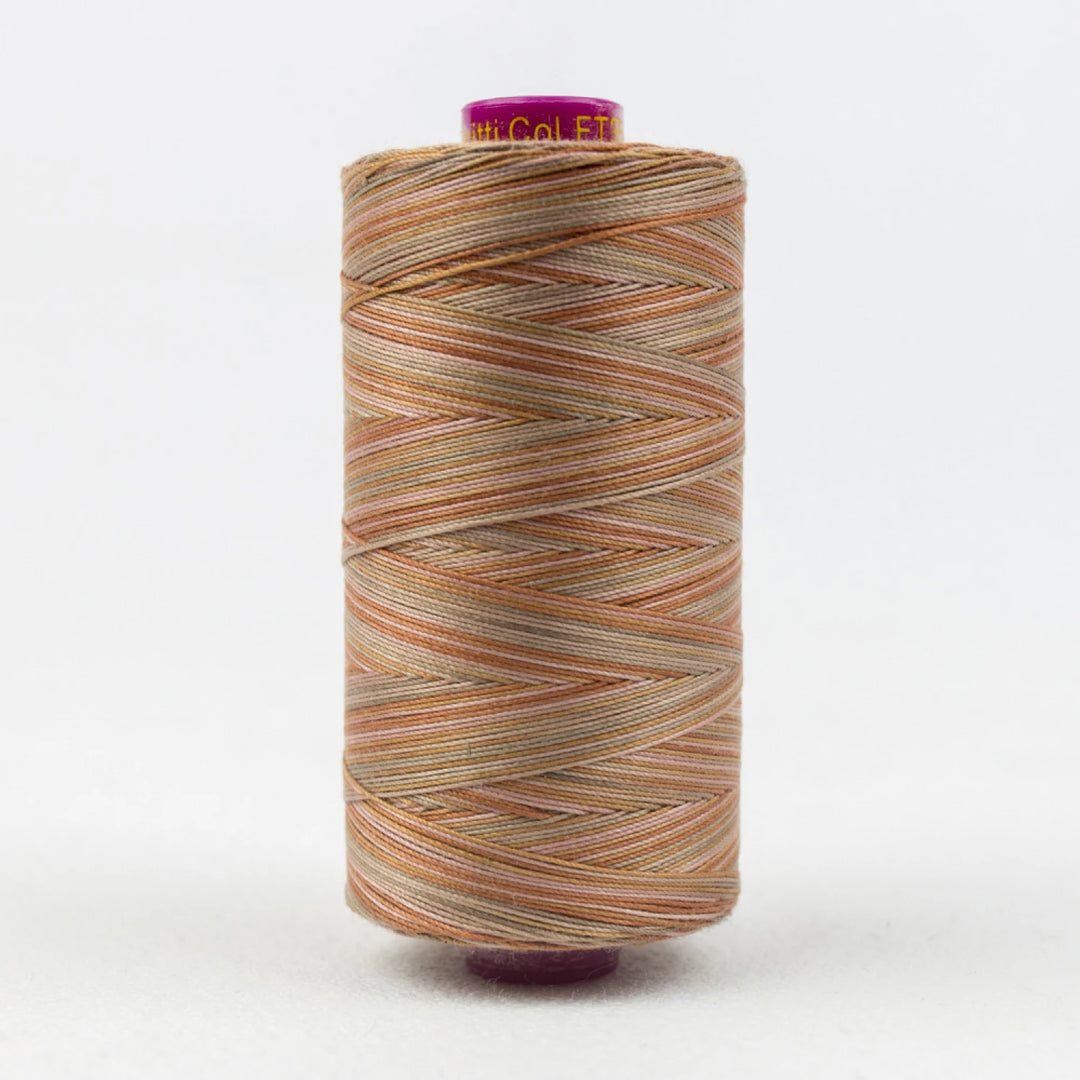 Fruitti Variegated 12wt Cotton Thread 400m Clay