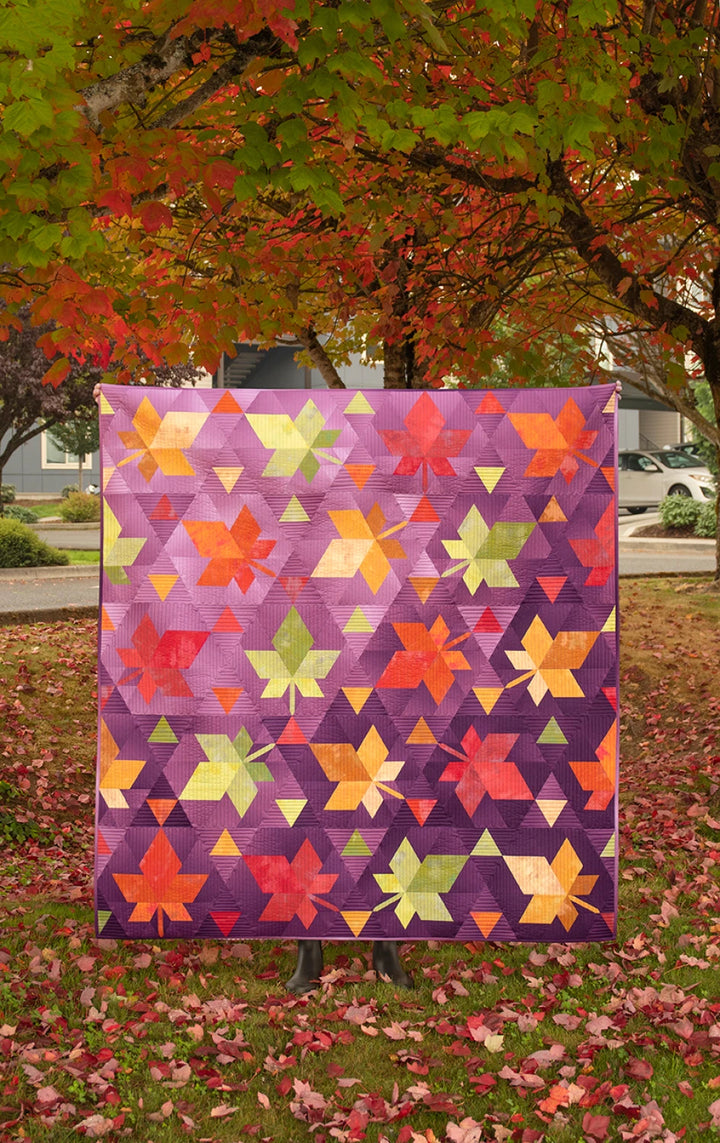 Fall Foliage