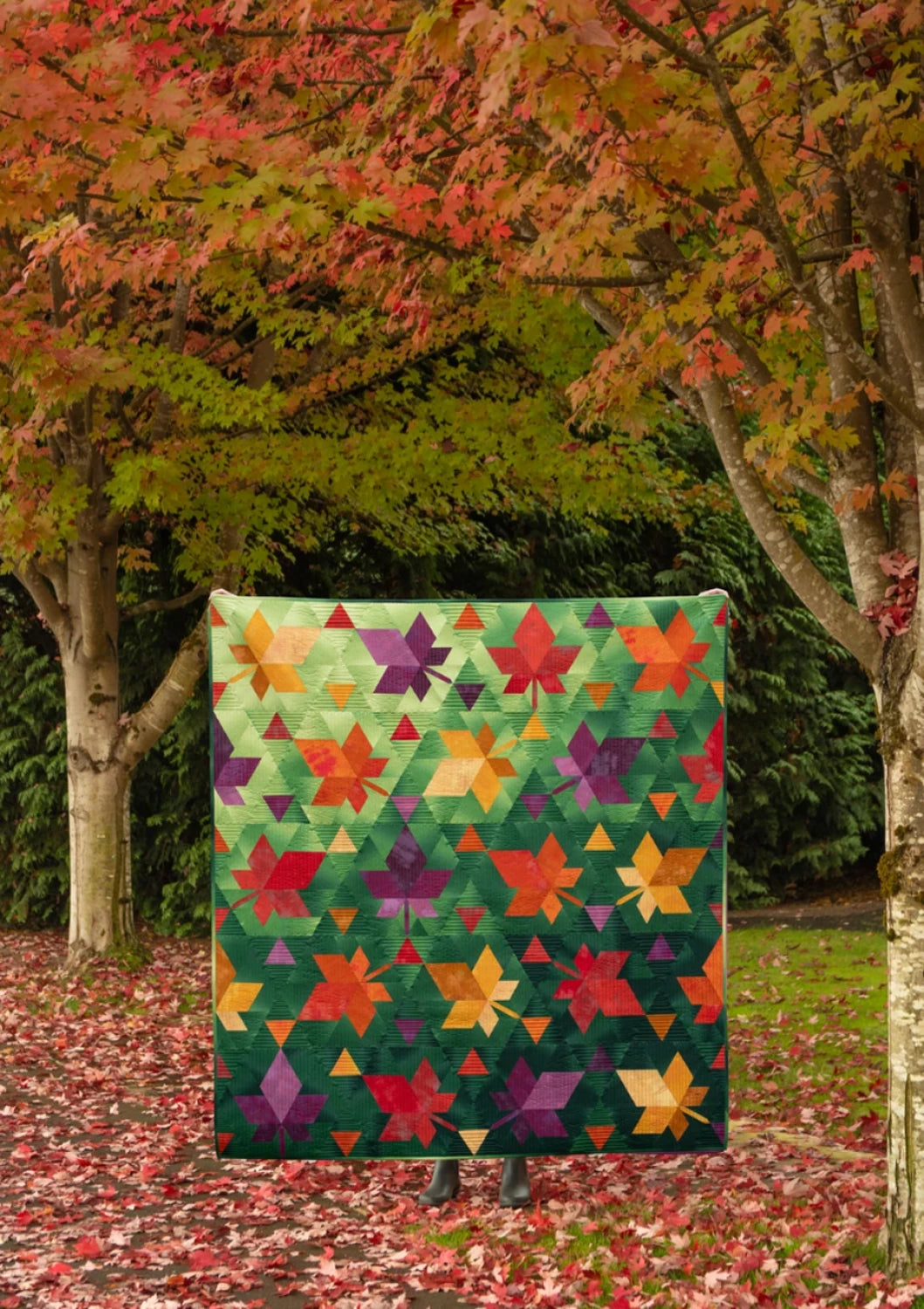 Fall Foliage
